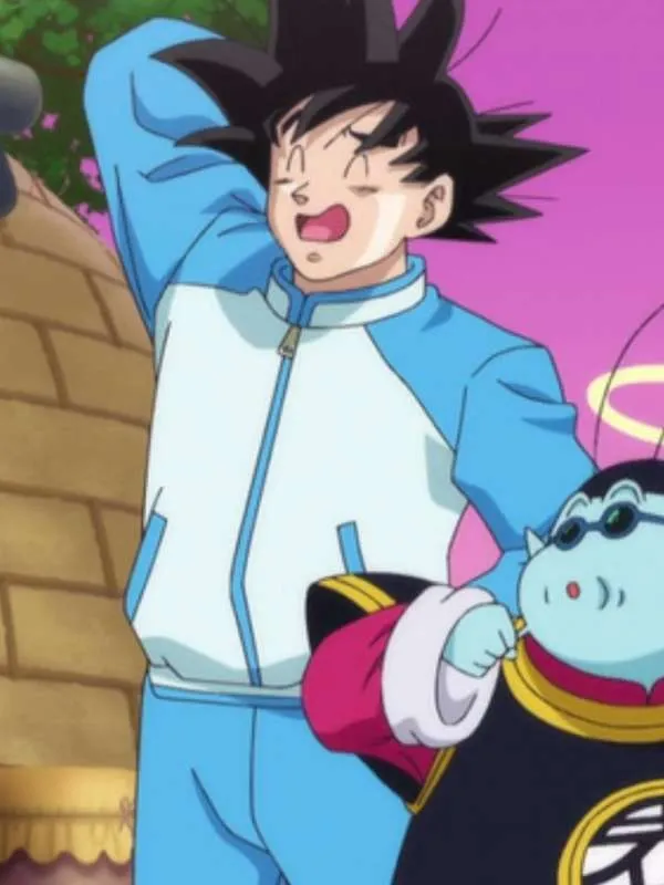 Goku Dragon Ball Z Blue Tracksuit